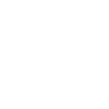 Hiking Boot