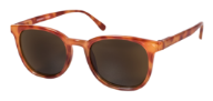sunglass